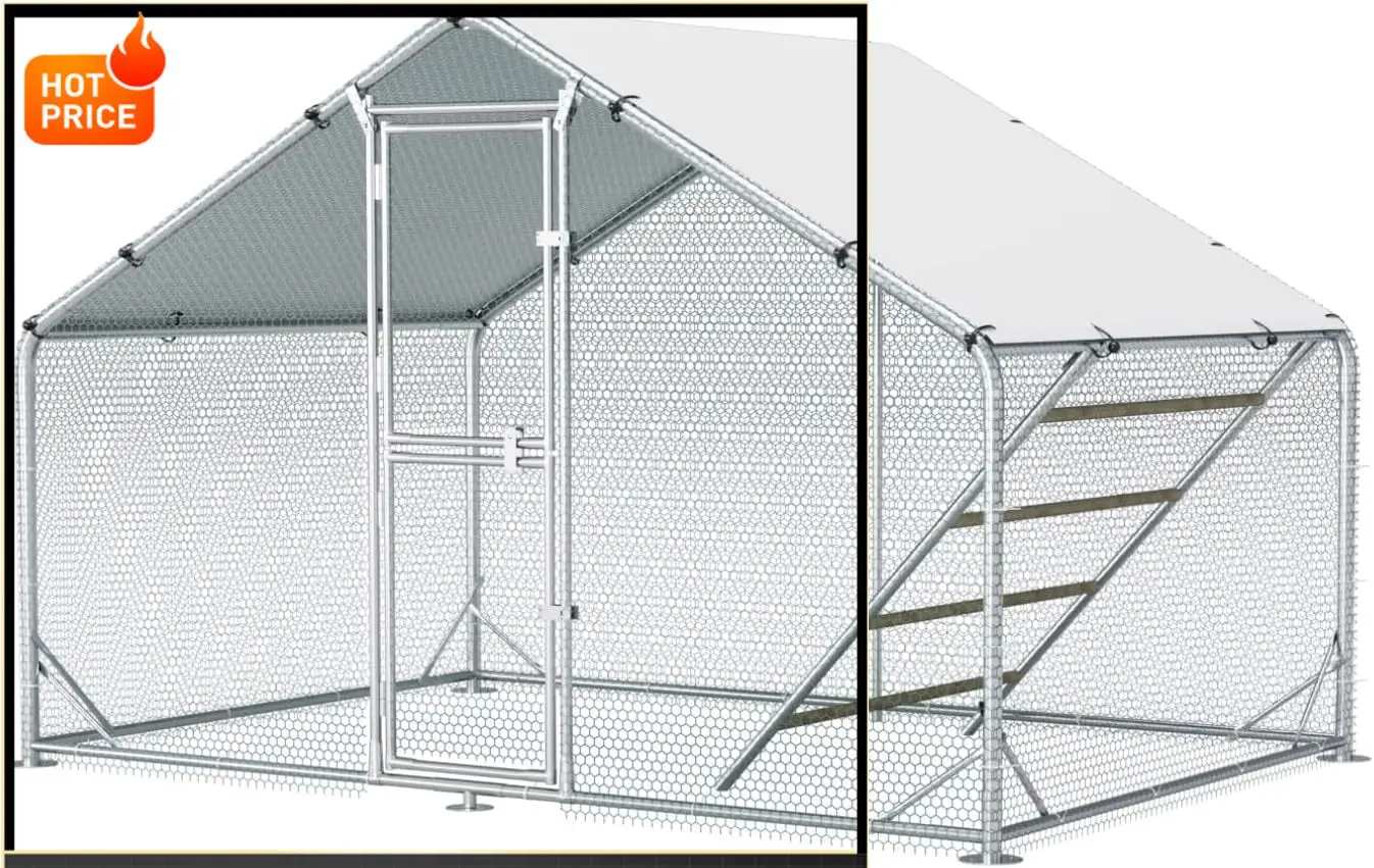 Бестселлер: Большой металлический курятник 10x6.5x6.5 футов для двора с навесом, вольер для кур с лежанкой и площадкой для выгула
Бестселлер: Большой металлический курятник 10x6.5x6.5 футов для двора с навесом, вольер для кур с лежанкой и площадкой для выгула