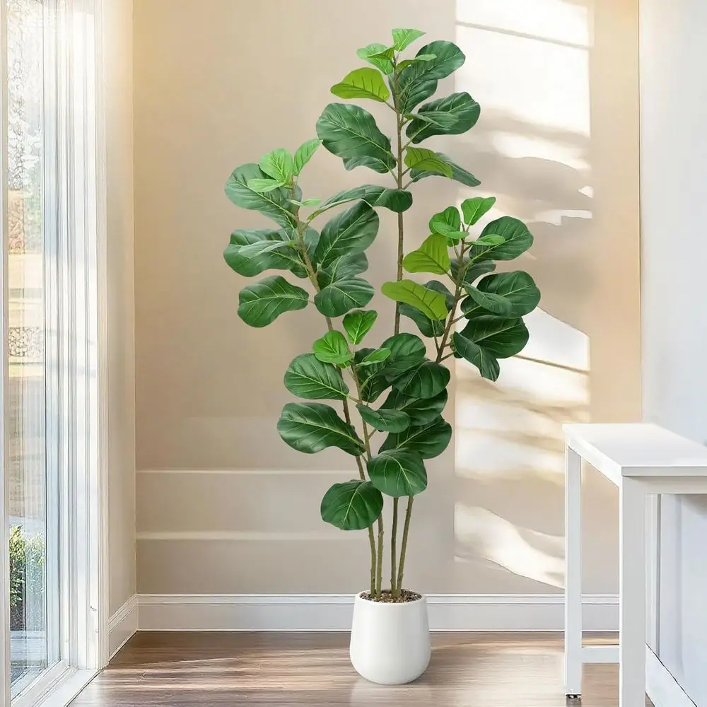 Artificial 6ft Tall Triple Trunk Faux Ivy Lyrata Trees for Indoor Living Room, Bedroom, or Office Housewarming Gifts
Artificial 6ft Tall Triple Trunk Faux Ivy Lyrata Trees for Indoor Living Room, Bedroom, or Office Housewarming Gifts