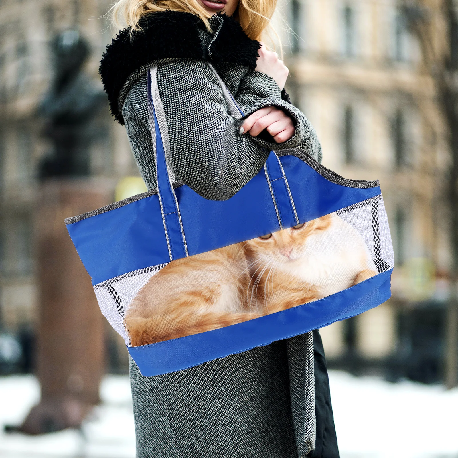 Portable Cat Bag Front Carrier Pet for Cats Travel Pouch Carriers Kitten Handbag Travelling
Portable Cat Bag Front Carrier Pet for Cats Travel Pouch Carriers Kitten Handbag Travelling