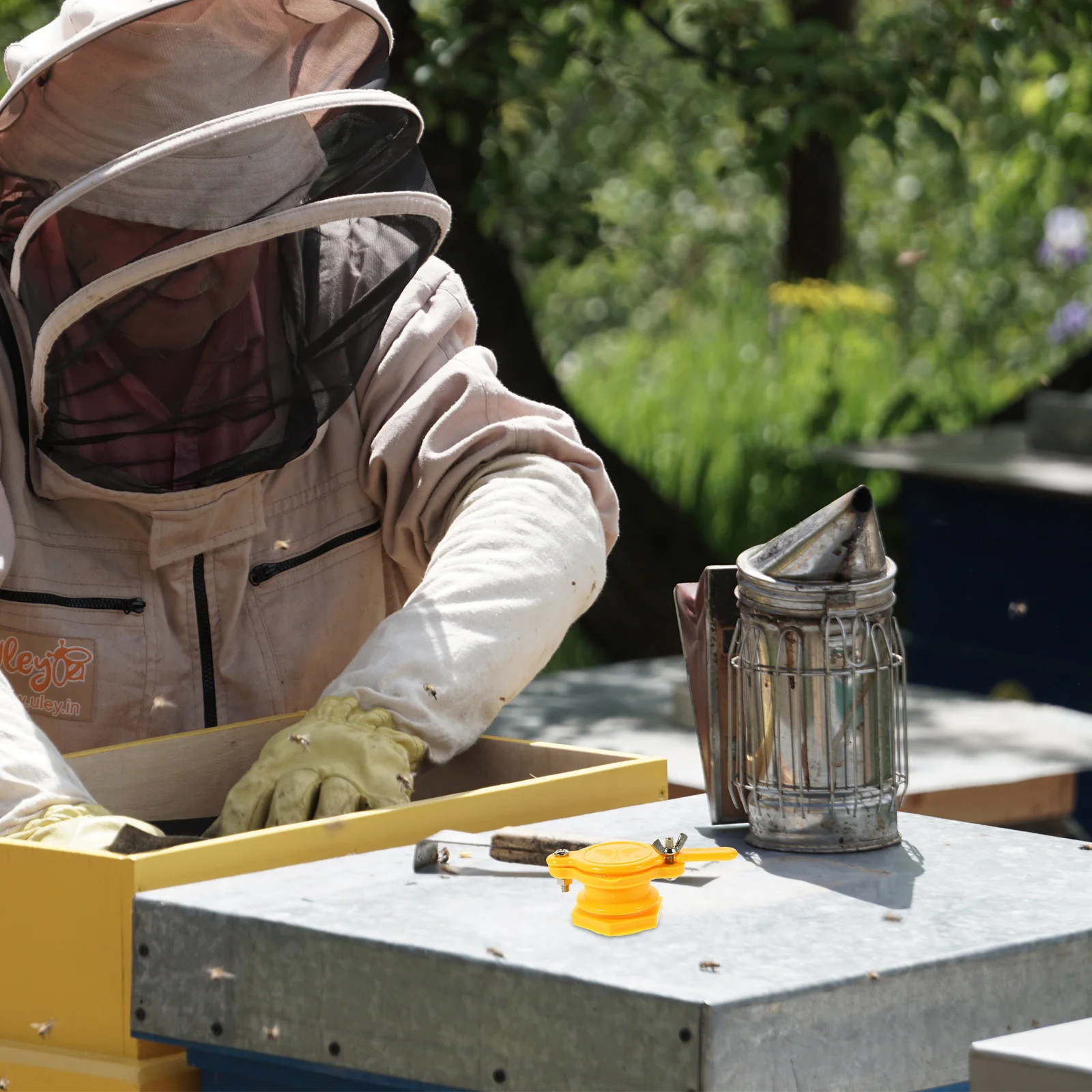 3Pcs Plastic Honey Gate with Long Handle Leakproof Flowing Honey Exit for Extractor Tank Bottling Pail Beekeeping Equipment
3Pcs Plastic Honey Gate with Long Handle Leakproof Flowing Honey Exit for Extractor Tank Bottling Pail Beekeeping Equipment