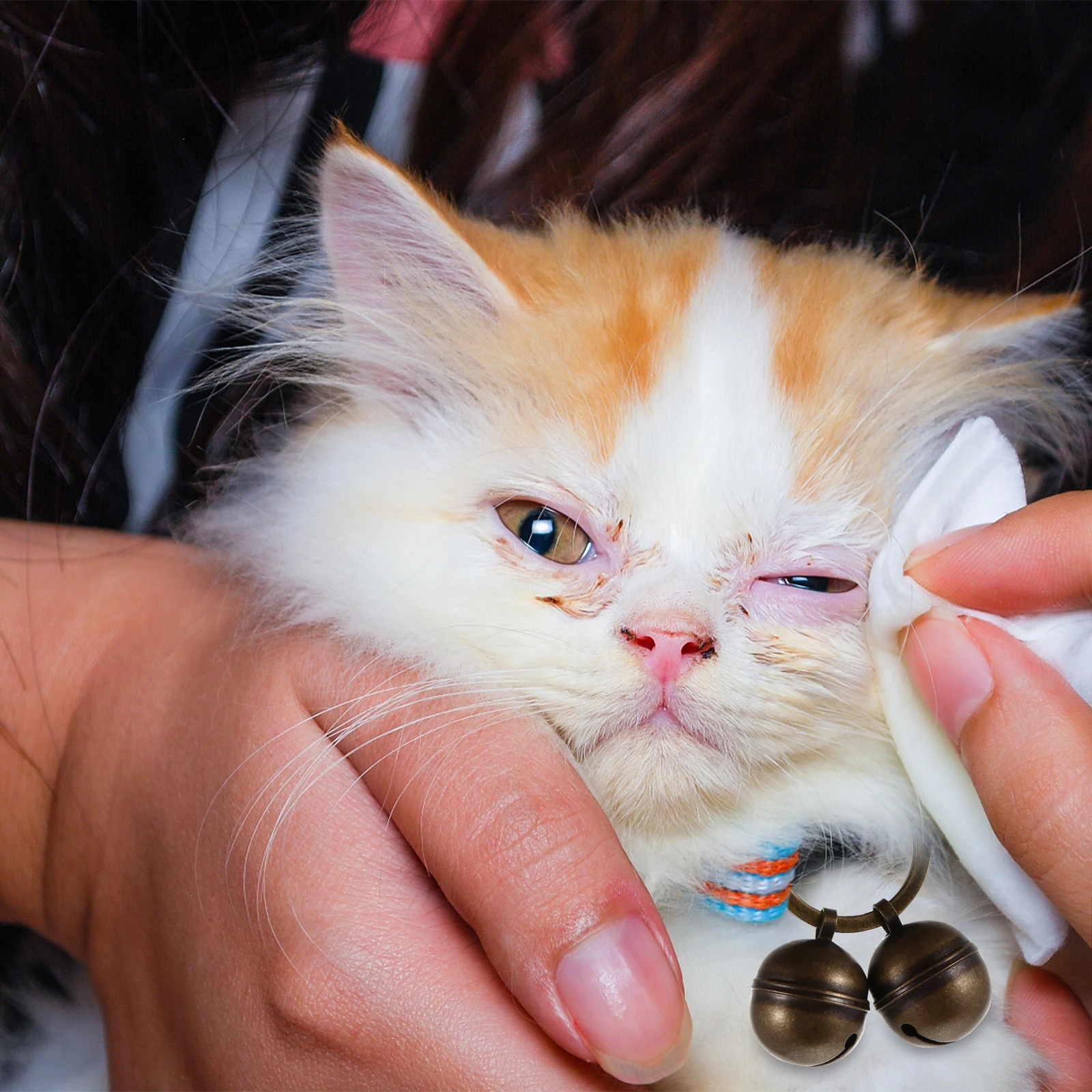 Copper Bell Pet Collar Keychain Dog Training Loud DIY Accessories Retro Ring Design Exquisite Home Decoration Cat Dog
Copper Bell Pet Collar Keychain Dog Training Loud DIY Accessories Retro Ring Design Exquisite Home Decoration Cat Dog