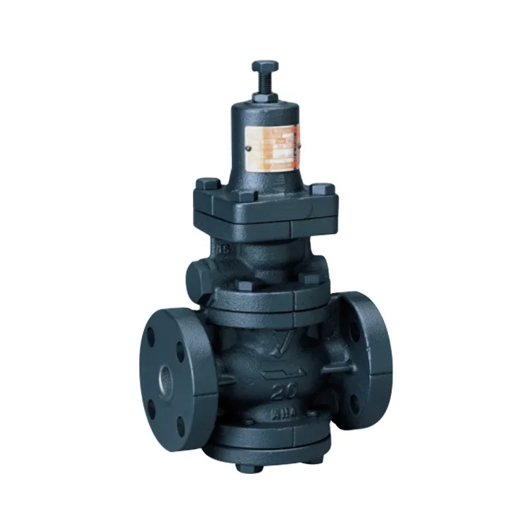 Pressure Reducing Valve for Steam
Pressure Reducing Valve for Steam