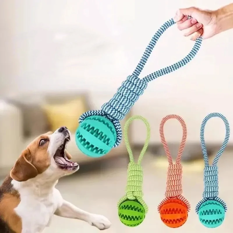 Dog Toys Balls Interactive Treat Rope Rubber Leaking Balls for Small Medium Dogs Chewing Bite Resistant Pet Tooth Cleaning
Dog Toys Balls Interactive Treat Rope Rubber Leaking Balls for Small Medium Dogs Chewing Bite Resistant Pet Tooth Cleaning