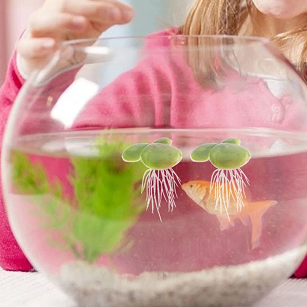 18Pcs Floating Mini Duckweed Artificial Plastic Aquarium Plants Fish Tank Decor Simulation Floating Fake Grass Aquatic Plants 
18Pcs Floating Mini Duckweed Artificial Plastic Aquarium Plants Fish Tank Decor Simulation Floating Fake Grass Aquatic Plants