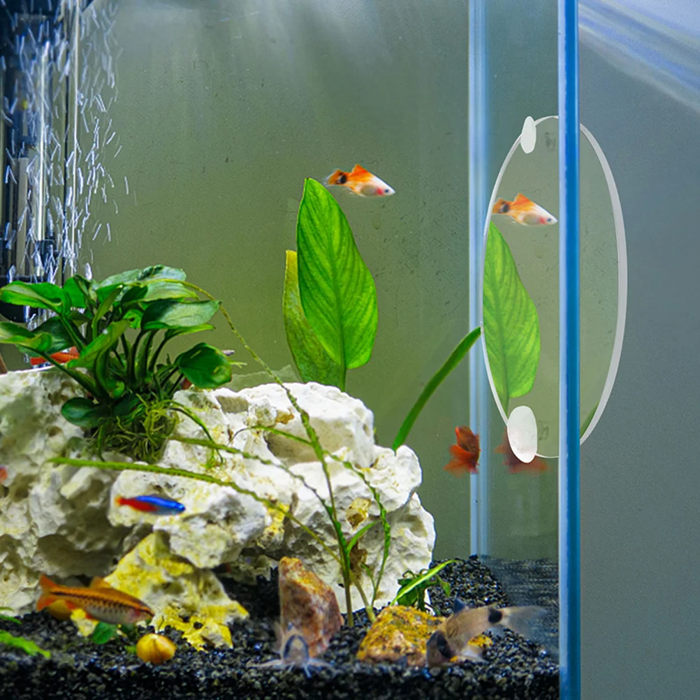 9CM Single Sided Acrylic Fish Tank Mirror for Betta Training Decorative Toy Easy Install Remove Aquarium Decor
9CM Single Sided Acrylic Fish Tank Mirror for Betta Training Decorative Toy Easy Install Remove Aquarium Decor