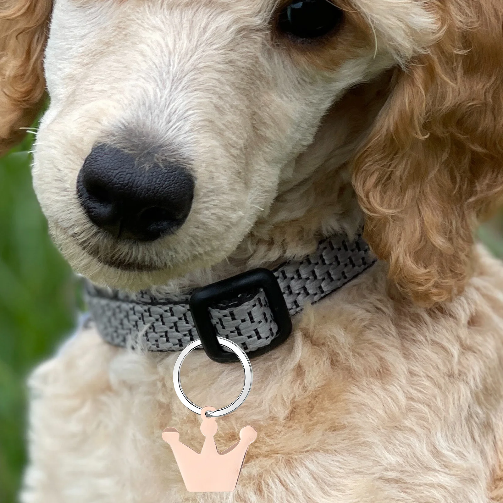 6pcs Rose Gold Laser Engraving Dog Tags Metal Pet ID Charms Blank Coins Sturdy Durable Dog Tag Pendants Craft Blanks
6pcs Rose Gold Laser Engraving Dog Tags Metal Pet ID Charms Blank Coins Sturdy Durable Dog Tag Pendants Craft Blanks