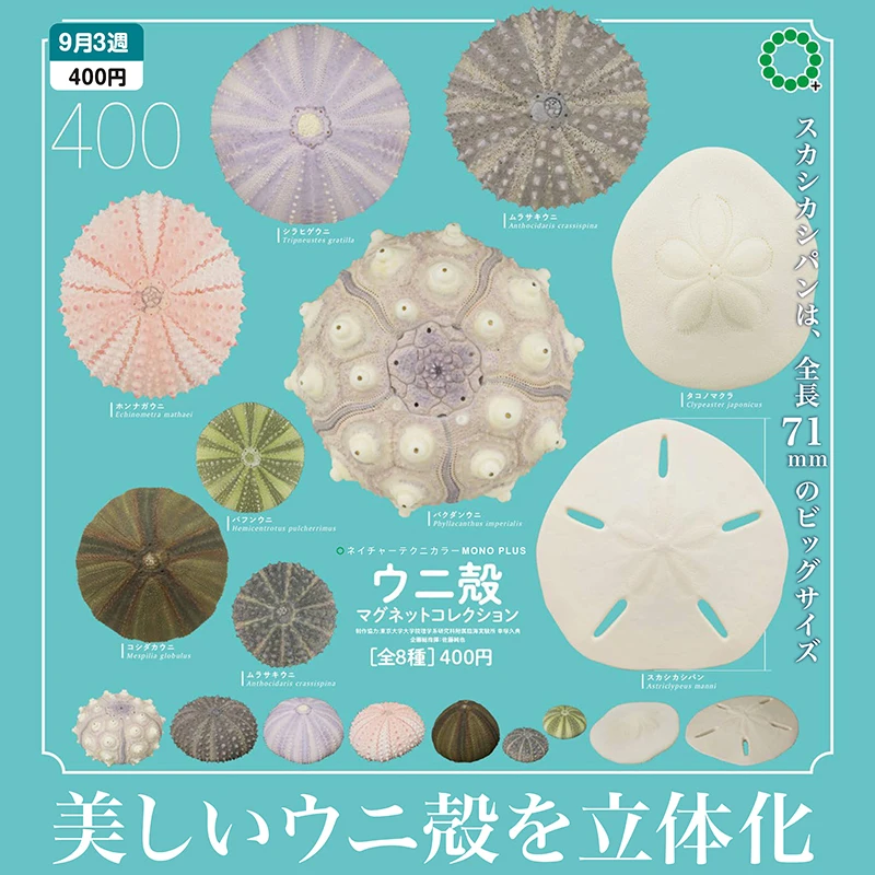 Сег. Предварительная продажа игрушек-капсул IKIMON NTC MONO+ Sea Urchin Shell, магнит на холодильник, коллекция Echinoderms, 3D фигурки Clypeaster
Сег. Предварительная продажа игрушек-капсул IKIMON NTC MONO+ Sea Urchin Shell, магнит на холодильник, коллекция Echinoderms, 3D фигурки Clypeaster