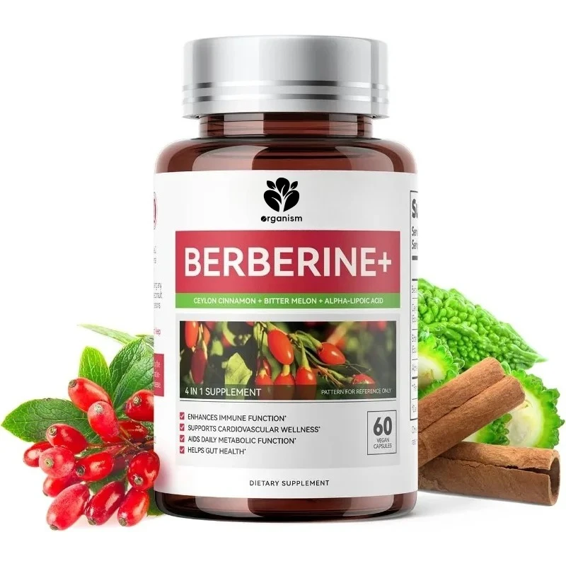 Berberine Ceylon Cinnamon, Alpha Lipoic Acid, горькая дыня, содержащая иммунитет AMPK GLP-1, Gut Health, капсулы для очищения и поддержки
Berberine Ceylon Cinnamon, Alpha Lipoic Acid, горькая дыня, содержащая иммунитет AMPK GLP-1, Gut Health, капсулы для очищения и поддержки
