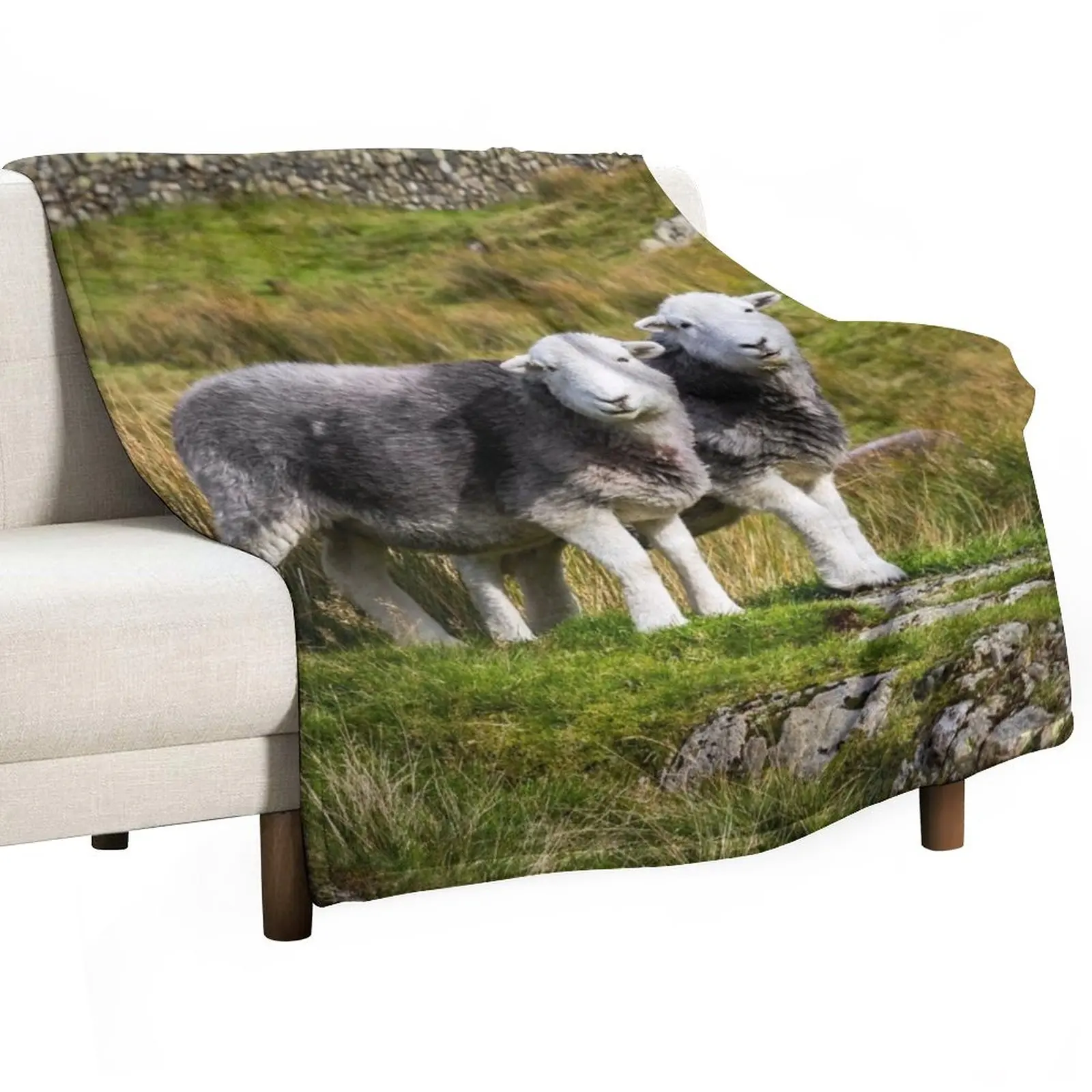 Herdwick овечьи одеяла с изображением пейзажа, одеяла и одеяла, милый плед Манга
Herdwick овечьи одеяла с изображением пейзажа, одеяла и одеяла, милый плед Манга