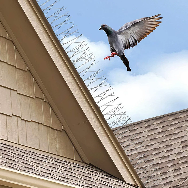 1PC Stainless Steel Pigeon Spikes And Bird Repeller Deterrent 25cm 33cm Balcony Anti-bird Repellent Thorn Nail Kit Pest Control
1PC Stainless Steel Pigeon Spikes And Bird Repeller Deterrent 25cm 33cm Balcony Anti-bird Repellent Thorn Nail Kit Pest Control