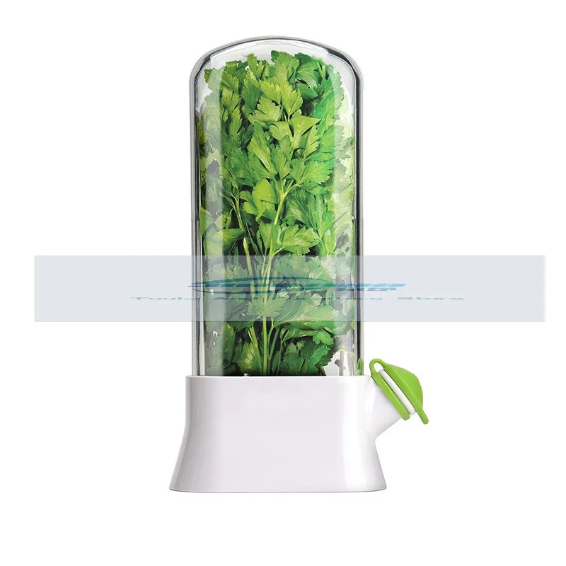 Vanilla vegetable crisper anti-crushing environmental protection crisper creative coriander crisper cup
Vanilla vegetable crisper anti-crushing environmental protection crisper creative coriander crisper cup