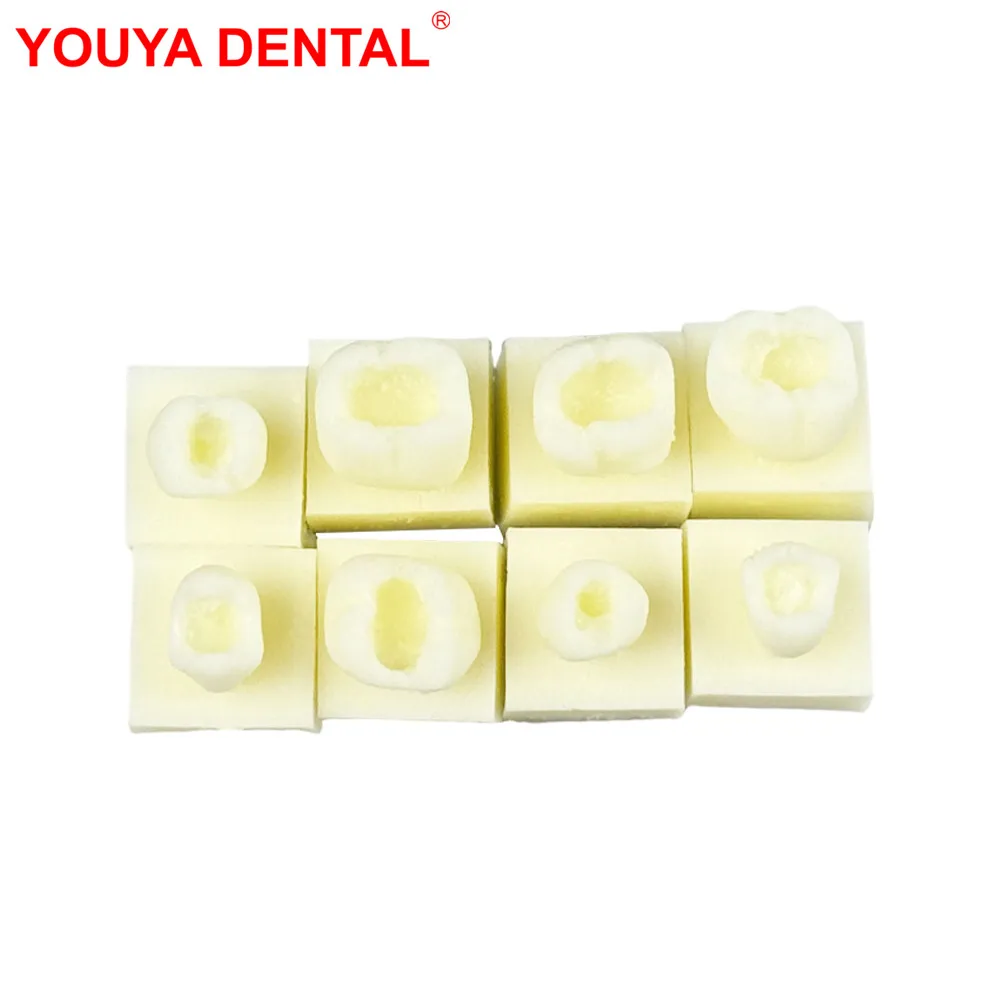 8pcs Resin Dental Implant Model Practice Training Filling Model Dentistry Students Studying Examation Teaching Education Model
8pcs Resin Dental Implant Model Practice Training Filling Model Dentistry Students Studying Examation Teaching Education Model