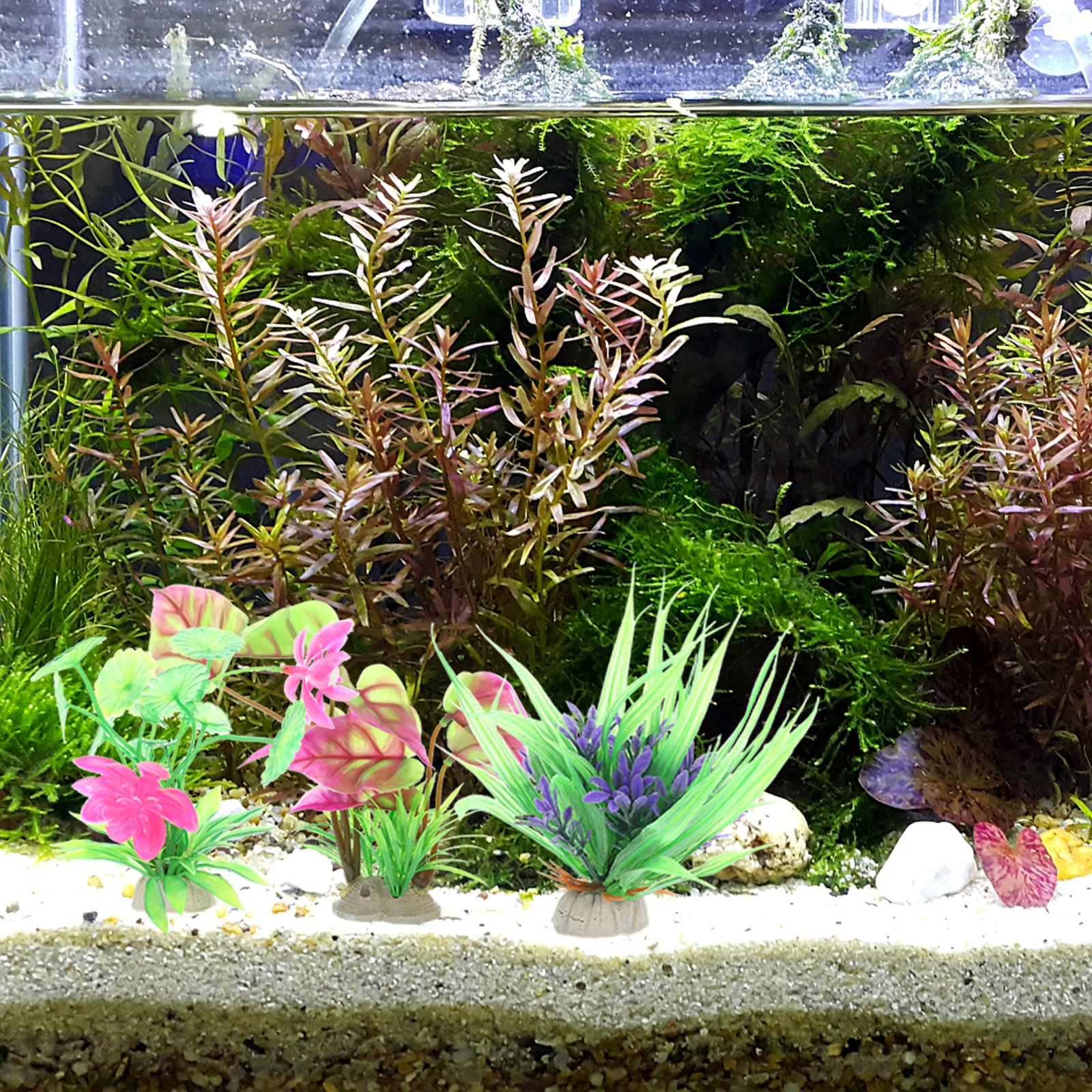 7 Pcs Aqua Simulated Water Plants Set Fish Tank Accessories Plastic Aquarium Ceramic Base Decor Decorations
7 Pcs Aqua Simulated Water Plants Set Fish Tank Accessories Plastic Aquarium Ceramic Base Decor Decorations
