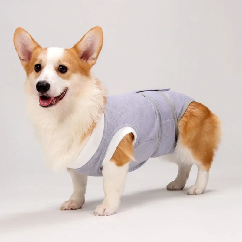 Cat Dog Surgery Recovery Suit Neuter Anti-Lick Abdominal Wounds Bite Protective Outfit Breathable Spay Suit for Medium Large Dog
Cat Dog Surgery Recovery Suit Neuter Anti-Lick Abdominal Wounds Bite Protective Outfit Breathable Spay Suit for Medium Large Dog