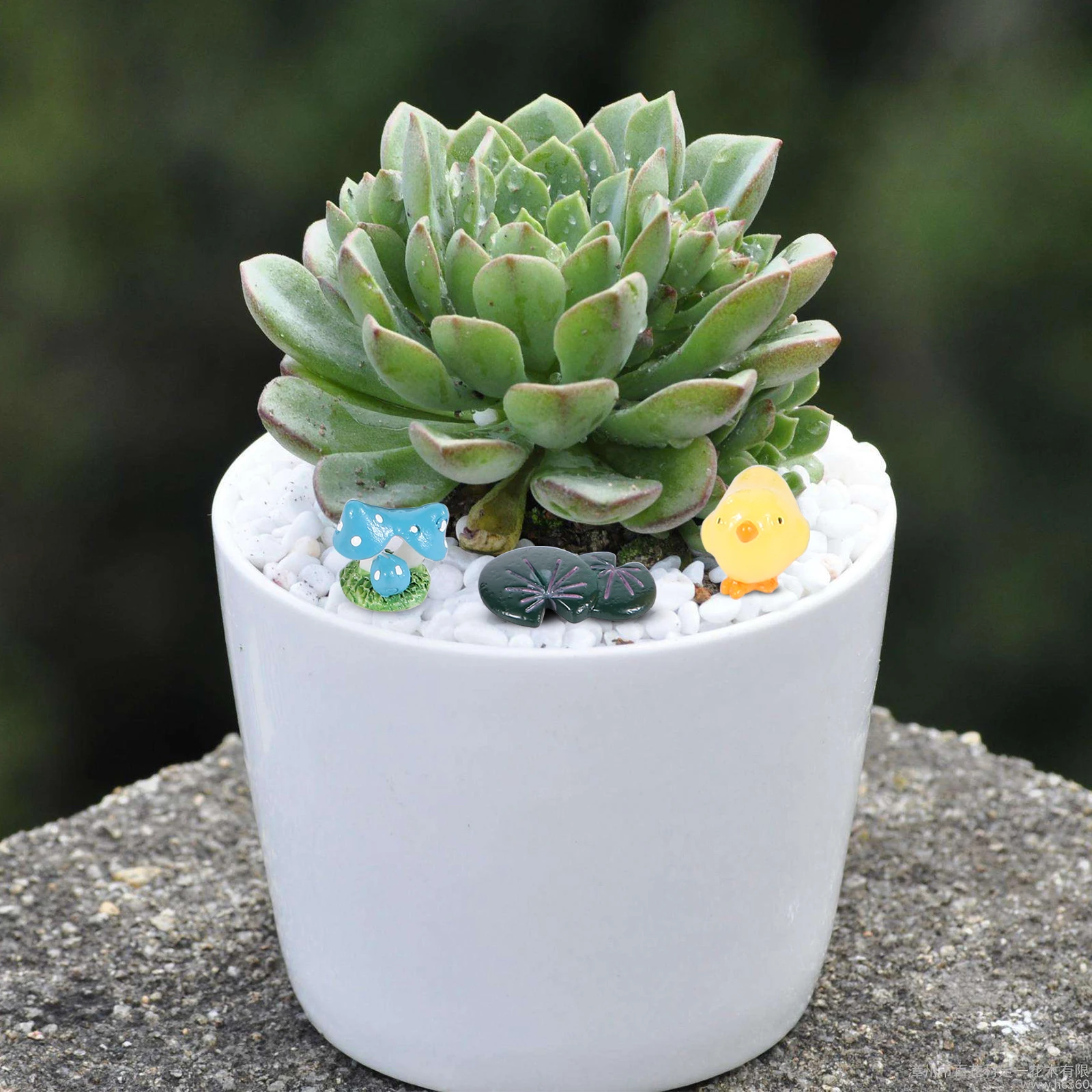 20pcs Micro Landscape Accessories Resin Ornament Decor Miniature Statue Cartoon Garden Decoration Desktop Craft Bright Vivid
20pcs Micro Landscape Accessories Resin Ornament Decor Miniature Statue Cartoon Garden Decoration Desktop Craft Bright Vivid