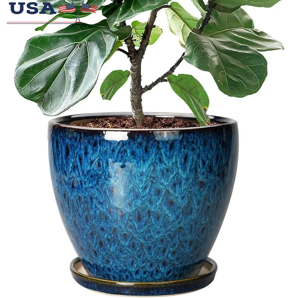 10 Inch Ceramic Planter Pot with Drainage Hole and Saucer Indoor Outdoor Flower Pot Bonsai Succulent Cactus Indoor Plants
10 Inch Ceramic Planter Pot with Drainage Hole and Saucer Indoor Outdoor Flower Pot Bonsai Succulent Cactus Indoor Plants