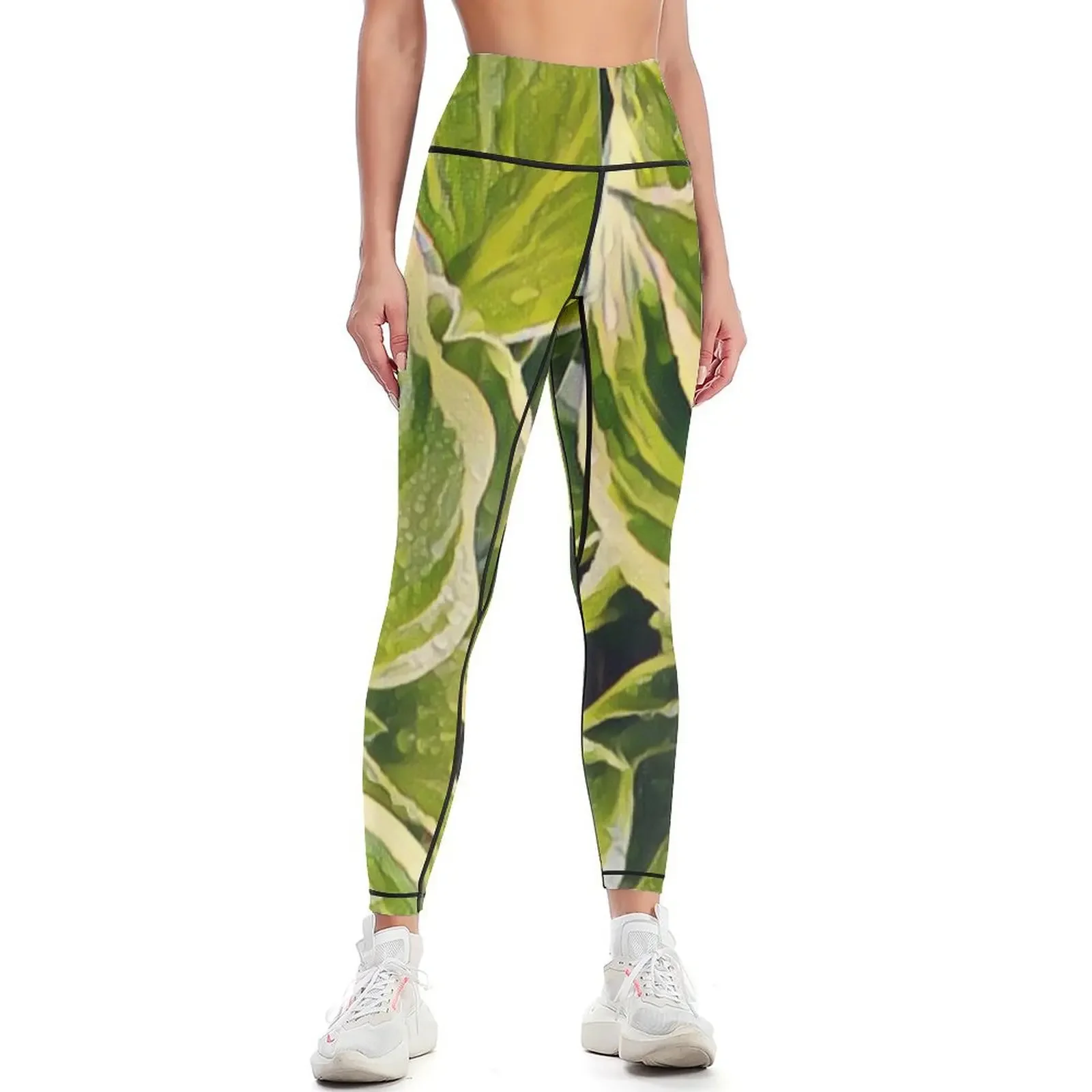 Garden-Hosta Leggings fitness set gym Women's tights Sports female sports for gym Womens Leggings
Garden-Hosta Leggings fitness set gym Women's tights Sports female sports for gym Womens Leggings