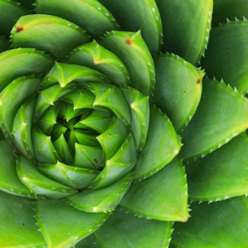 Регулятор скорости GEPRC GEP-BL32 50A 96K 4-в-1 с поддержкой Dshot 150/300/600, записью данных AM32, анализом полетов и барометром для гоночных FPV дронов
Регулятор скорости GEPRC GEP-BL32 50A 96K 4-в-1 с поддержкой Dshot 150/300/600, записью данных AM32, анализом полетов и барометром для гоночных FPV дронов