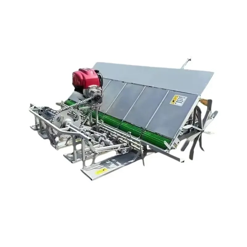 4-Row Manual Agricultural Equipment Operated Paddy Transplanter/Planter/Rice Planting Machine Motor for Farm Available for
4-Row Manual Agricultural Equipment Operated Paddy Transplanter/Planter/Rice Planting Machine Motor for Farm Available for