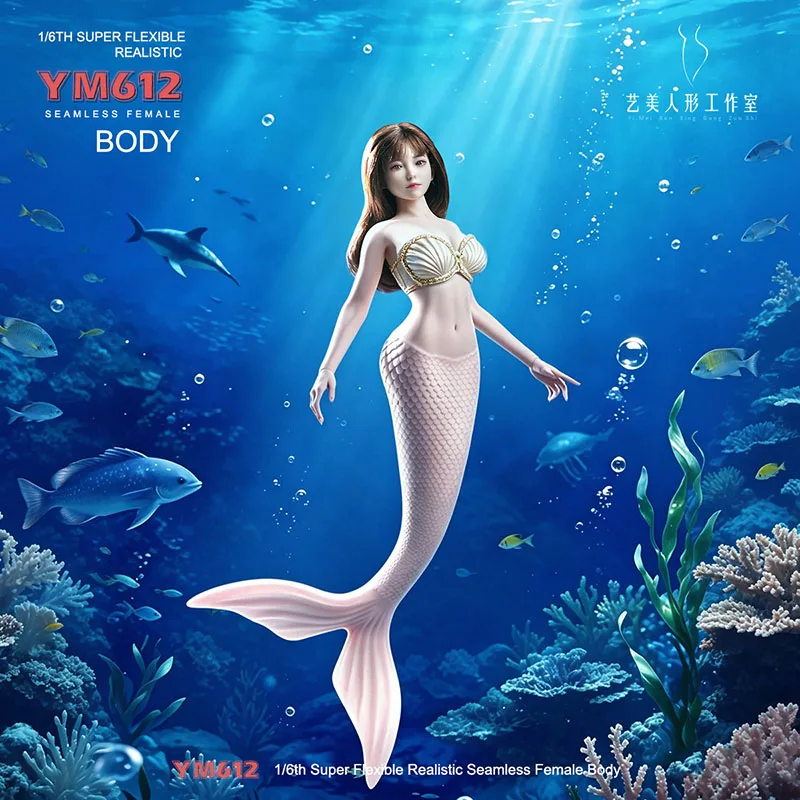 YM612 1/6 Scale Realistic Seamless Female Mermaid Body 12 inch Super Flexible Medium Breast Action Figure Model
YM612 1/6 Scale Realistic Seamless Female Mermaid Body 12 inch Super Flexible Medium Breast Action Figure Model