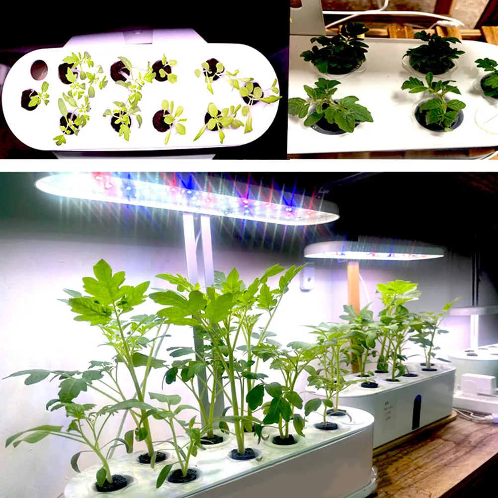 20pcs Cotton Grow Cubes For Soilless Cultivation Hydroponics Starter Gardening Supplies Nutrient Blocks Plant Nursery
20pcs Cotton Grow Cubes For Soilless Cultivation Hydroponics Starter Gardening Supplies Nutrient Blocks Plant Nursery