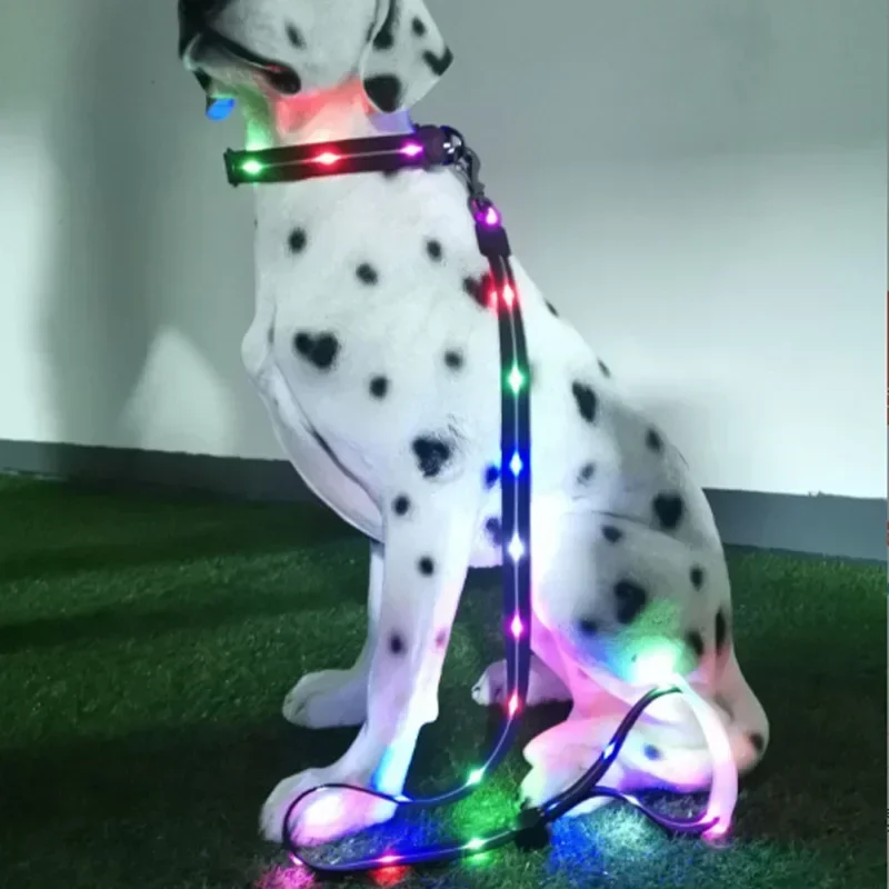 Pet LED Luminous Leash Warning Luminous Cat and Dog Leash Dog Night Travel Pet Supplies
Pet LED Luminous Leash Warning Luminous Cat and Dog Leash Dog Night Travel Pet Supplies