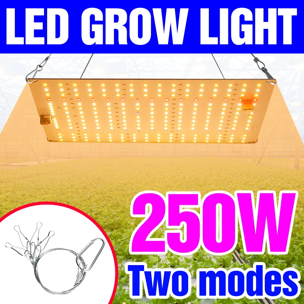 250W LED Full Spectrum Grow Lights Quantum Board Cultivation Lamp US/EU Plug For Indoor Flower Greenhouse Moss Cactus Vegetables
250W LED Full Spectrum Grow Lights Quantum Board Cultivation Lamp US/EU Plug For Indoor Flower Greenhouse Moss Cactus Vegetables