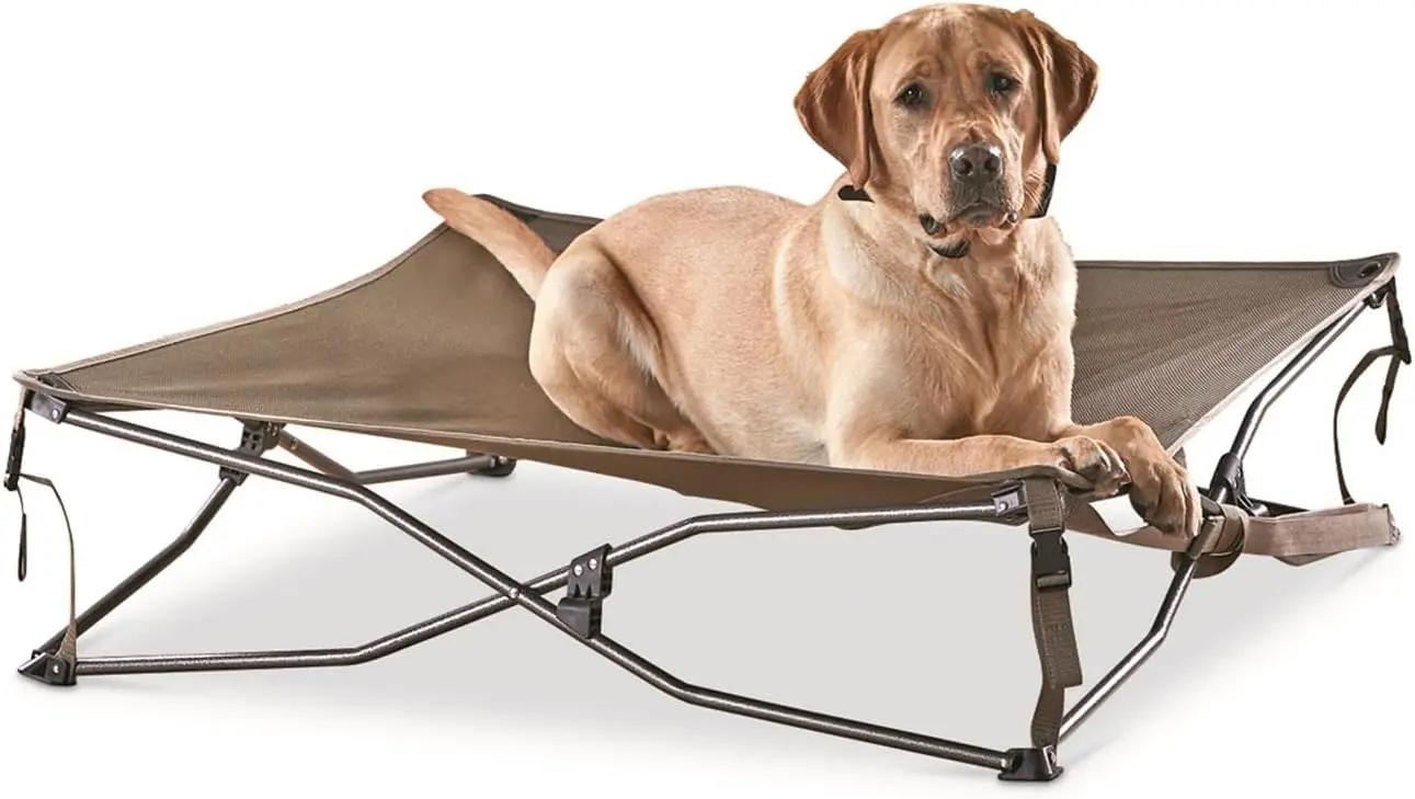Elevated Pet Bed with Breathable Mesh, Portable Cot for Camping & Outdoor Use, Supports Up to 120 lbs
Elevated Pet Bed with Breathable Mesh, Portable Cot for Camping & Outdoor Use, Supports Up to 120 lbs
