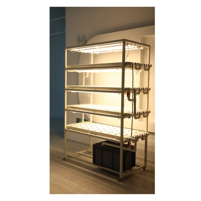 Recommend Multilevel Plant Racks Hydroponic Vertical System For Indoor Factory Farm Growing Vegetables
Recommend Multilevel Plant Racks Hydroponic Vertical System For Indoor Factory Farm Growing Vegetables