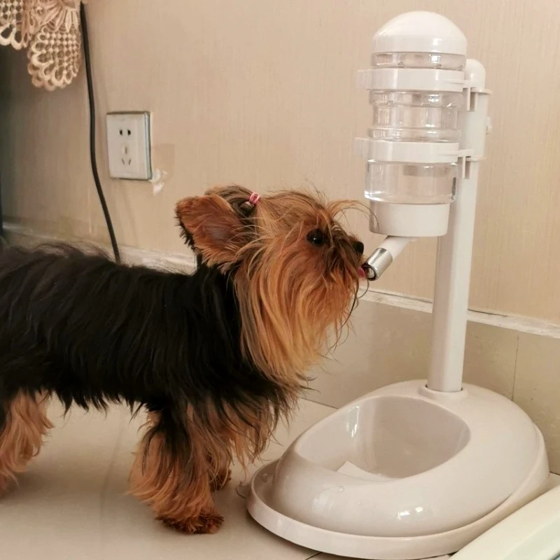Pet non-wet mouth dog water dispenser automatic hanging Bichon water drinker cat water feeder vertical kettle supplies
Pet non-wet mouth dog water dispenser automatic hanging Bichon water drinker cat water feeder vertical kettle supplies