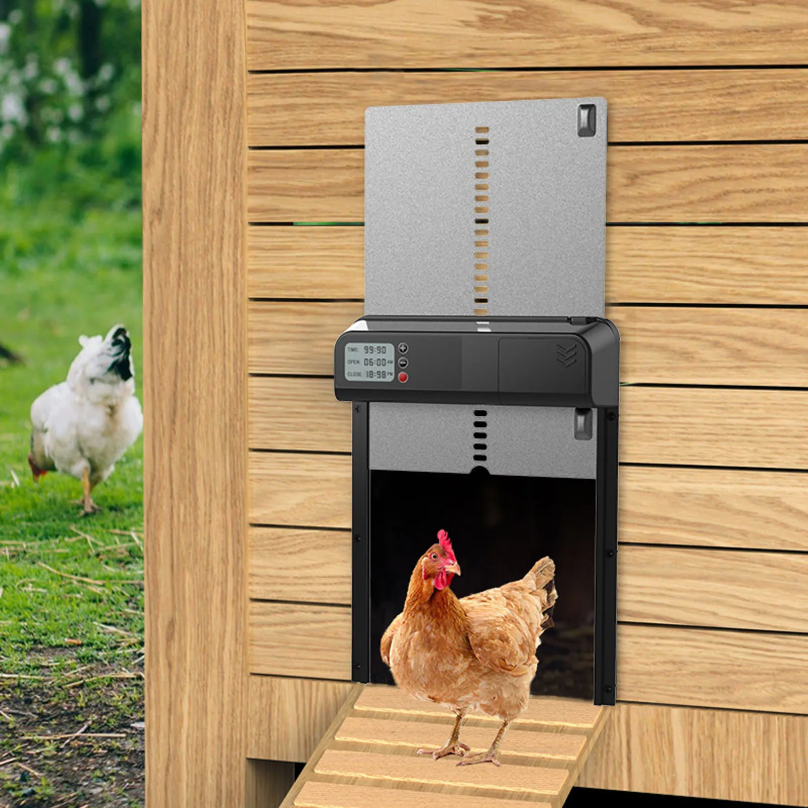 Automatic Chicken Coop Door with Timer Aluminum Alloy IP45 Waterproof LED Display Battery Powered Auto Chicken Door Opener
Automatic Chicken Coop Door with Timer Aluminum Alloy IP45 Waterproof LED Display Battery Powered Auto Chicken Door Opener