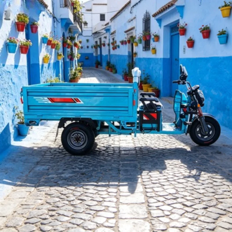 EEC Certified Electric Cargo Tricycle 3 Wheel 60V 800W Open Body 400kg for European Market Sale
EEC Certified Electric Cargo Tricycle 3 Wheel 60V 800W Open Body 400kg for European Market Sale