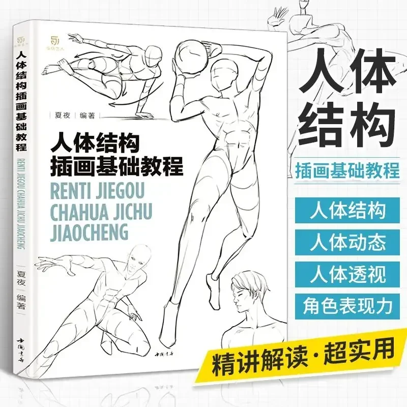 Human Structure Illustration Basic Tutorial Anime Character Modeling Hand-painted Techniques Painting Introductory Books
Human Structure Illustration Basic Tutorial Anime Character Modeling Hand-painted Techniques Painting Introductory Books