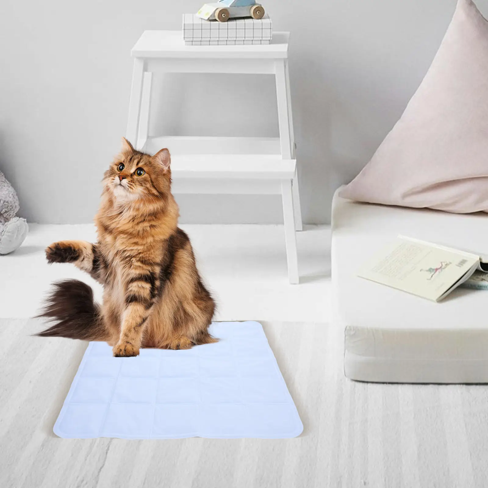 Pet Cooling Mat Dog Summer Nest Cat Puppy Sleeping Cushion Cooling Pad Nonskid Breathable Small Dog Bed Comfortable Sleeping
Pet Cooling Mat Dog Summer Nest Cat Puppy Sleeping Cushion Cooling Pad Nonskid Breathable Small Dog Bed Comfortable Sleeping