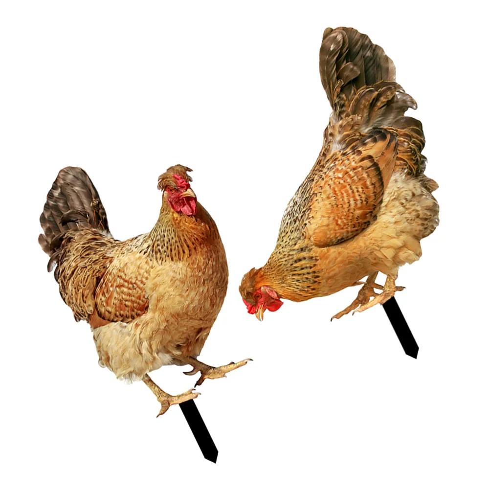 2 Pcs Chicken Garden Decoration Shaped Lawn Stake Backyard Acrylic Insert Plug-in Sign
2 Pcs Chicken Garden Decoration Shaped Lawn Stake Backyard Acrylic Insert Plug-in Sign
