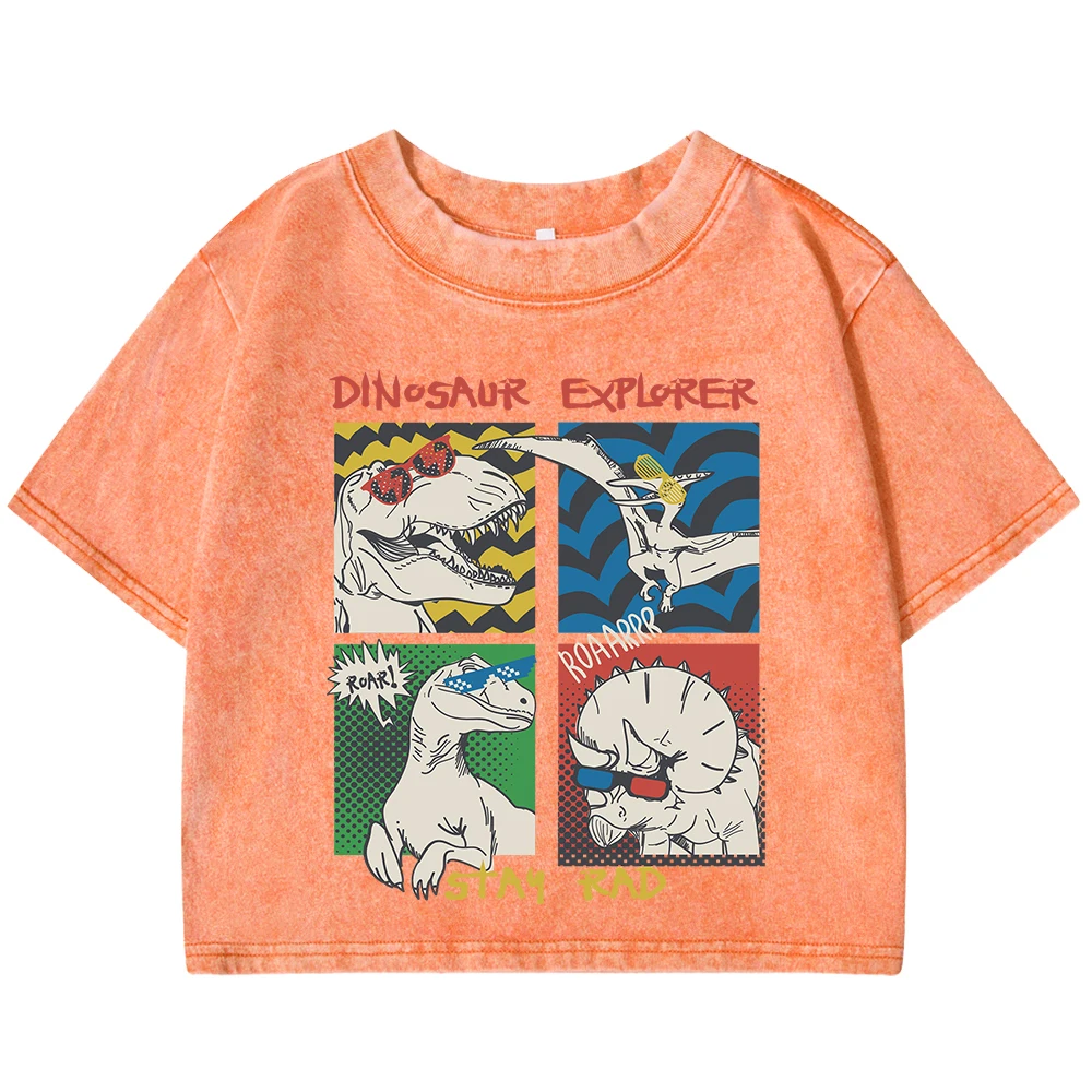 Dinosaurs Explorer Stay Rad Prints Women Washed Slim T Shirt Summer Breathable Short Sleeve Retro Clothes Casual Cotton T-Shirt
Dinosaurs Explorer Stay Rad Prints Women Washed Slim T Shirt Summer Breathable Short Sleeve Retro Clothes Casual Cotton T-Shirt
