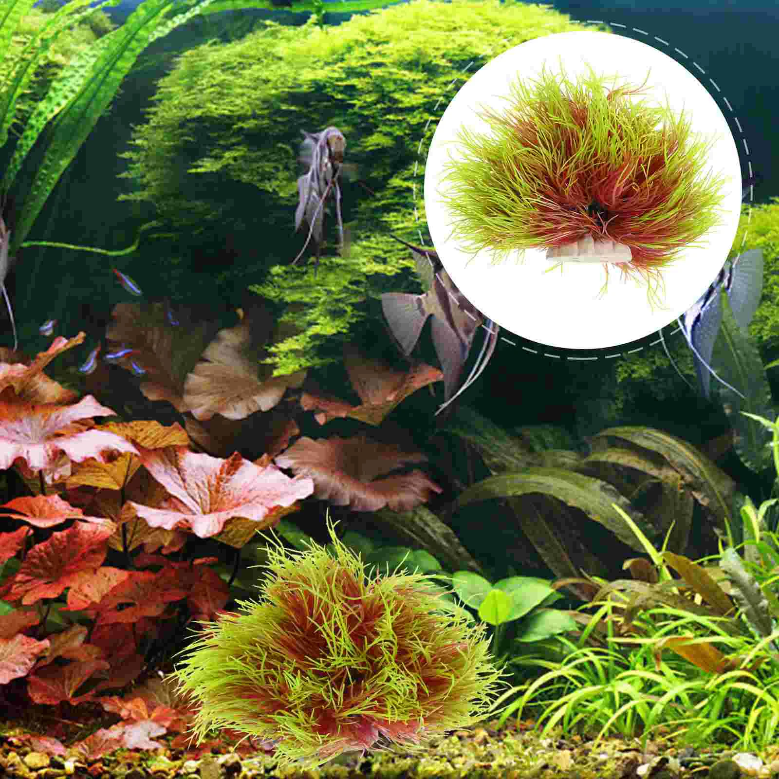 Simulated Water Grass Aquarium Plant Decorations CPO103 Yellow Large Size Fake Aquatic Plants for Fish Tank for Fish
Simulated Water Grass Aquarium Plant Decorations CPO103 Yellow Large Size Fake Aquatic Plants for Fish Tank for Fish