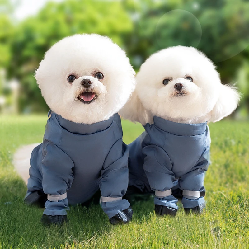 Small Dog Shoes Waterproof Shoes Universal Adjustable Soft Pet Shoes Outdoor Walking Dog Anti Dirty Puppy Paw Protectors Pants
Small Dog Shoes Waterproof Shoes Universal Adjustable Soft Pet Shoes Outdoor Walking Dog Anti Dirty Puppy Paw Protectors Pants