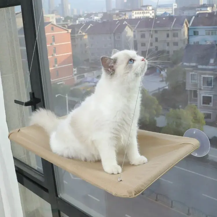 Hanging Pet Cat Bed For Windows, Glass Doors, Balcony, Detachable And Washable Indoor Steel Wire Suction Cup Pet Bed, For Pets
Hanging Pet Cat Bed For Windows, Glass Doors, Balcony, Detachable And Washable Indoor Steel Wire Suction Cup Pet Bed, For Pets