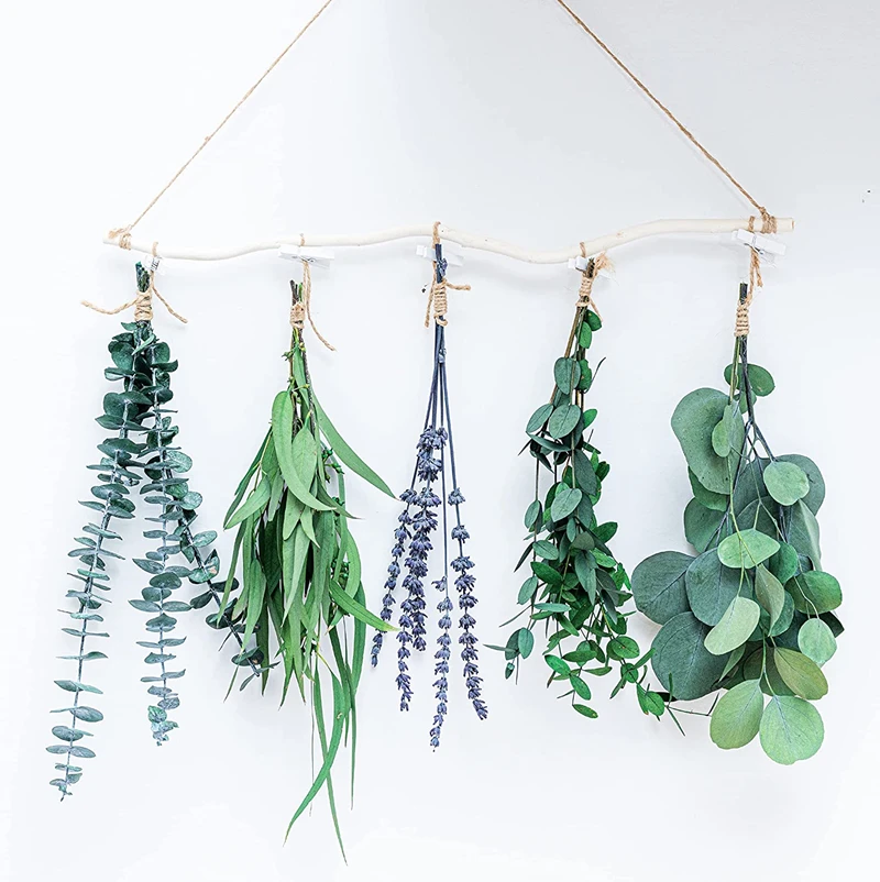 4 Species Natural Fresh Eucalyptus & Lavender Wall Hanging for Shower Decor Home Decor Natural | Real Live Eucalyptus Leaves
4 Species Natural Fresh Eucalyptus & Lavender Wall Hanging for Shower Decor Home Decor Natural | Real Live Eucalyptus Leaves