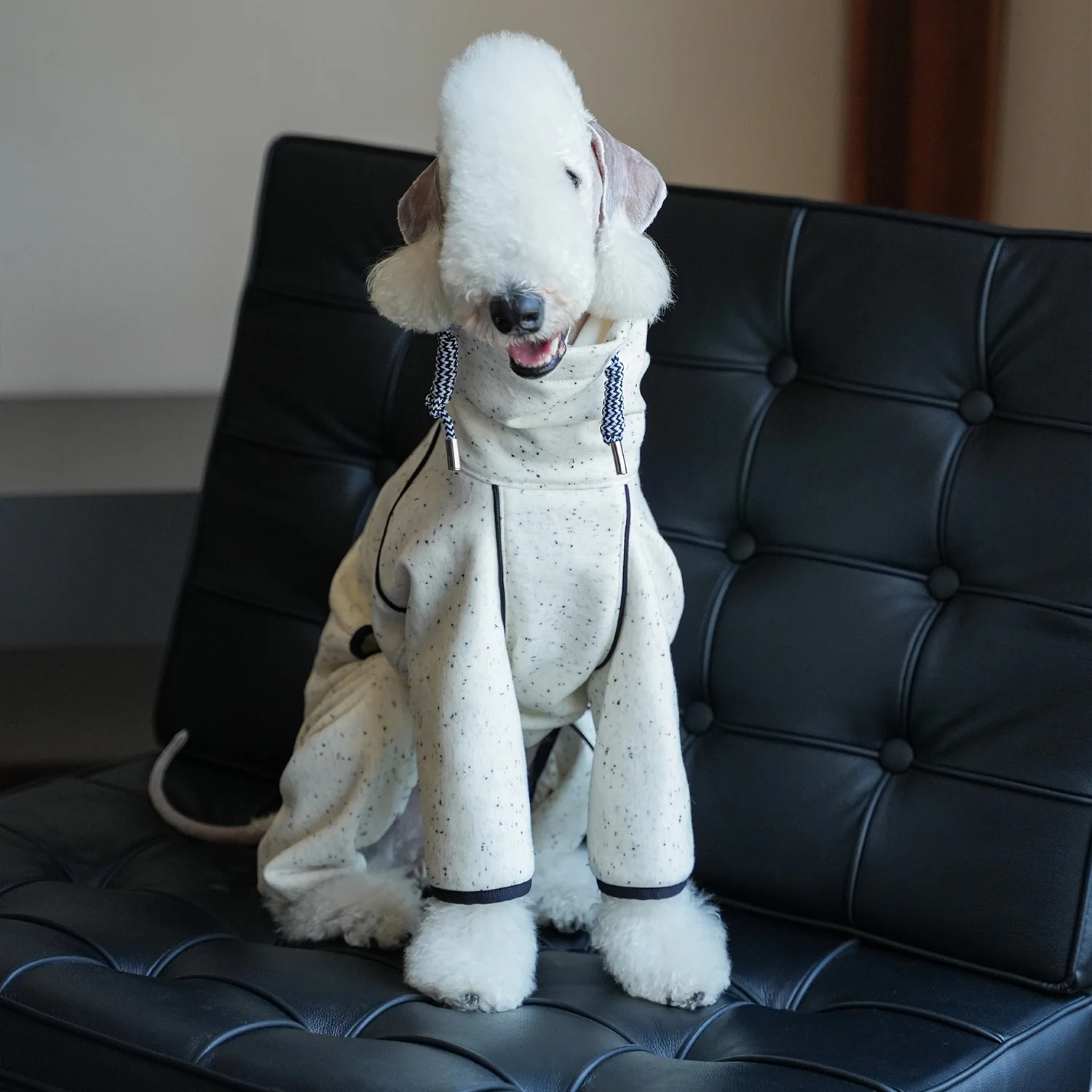 Warm Winter High-Neck White Sweatshirt For Bedlington Autumn Four-Legged Thick Fleece Blue Coat for Italian Greyhound Whippet
Warm Winter High-Neck White Sweatshirt For Bedlington Autumn Four-Legged Thick Fleece Blue Coat for Italian Greyhound Whippet