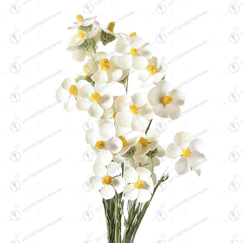 Natural Dried Flowers Wedding Decoration Mini Violet Dried Flowers
Natural Dried Flowers Wedding Decoration Mini Violet Dried Flowers