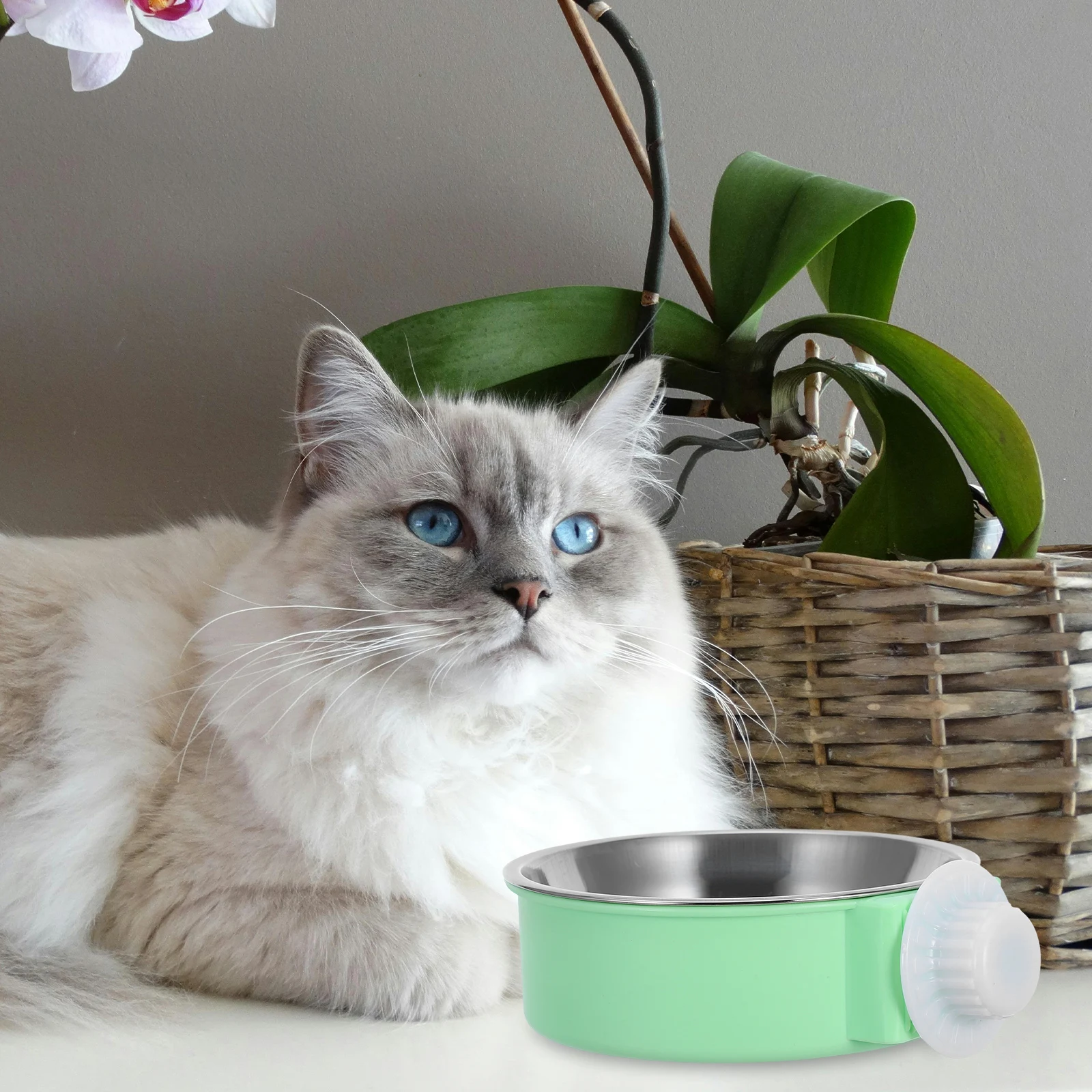 Hanging Stainless Steel Bowl Durable Pet Supplies Dog Cat Feeder Small Size Easy Clean Anti Slip Practical Home Use Safe
Hanging Stainless Steel Bowl Durable Pet Supplies Dog Cat Feeder Small Size Easy Clean Anti Slip Practical Home Use Safe