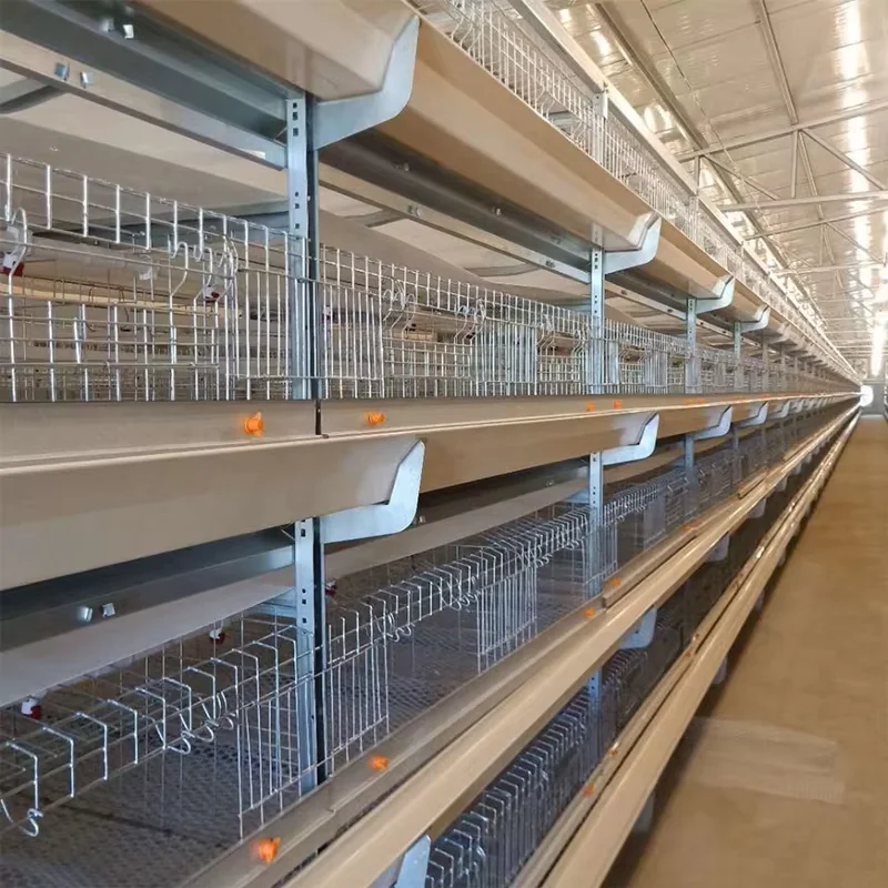 Overall Design Of Laying Hen House In Fully Automated Chicken Farm And Large-scale Breeding Agriculture
Overall Design Of Laying Hen House In Fully Automated Chicken Farm And Large-scale Breeding Agriculture
