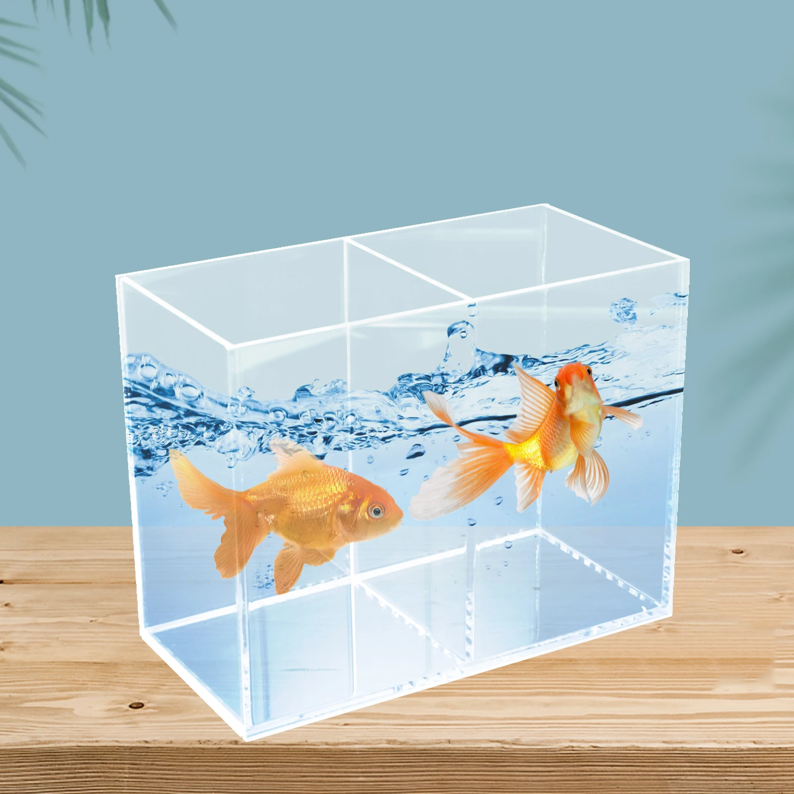 Desktop Fish Tank Small Aquarium Tiny Clear Betta Ornamental Mini Turtle Frameless
Desktop Fish Tank Small Aquarium Tiny Clear Betta Ornamental Mini Turtle Frameless