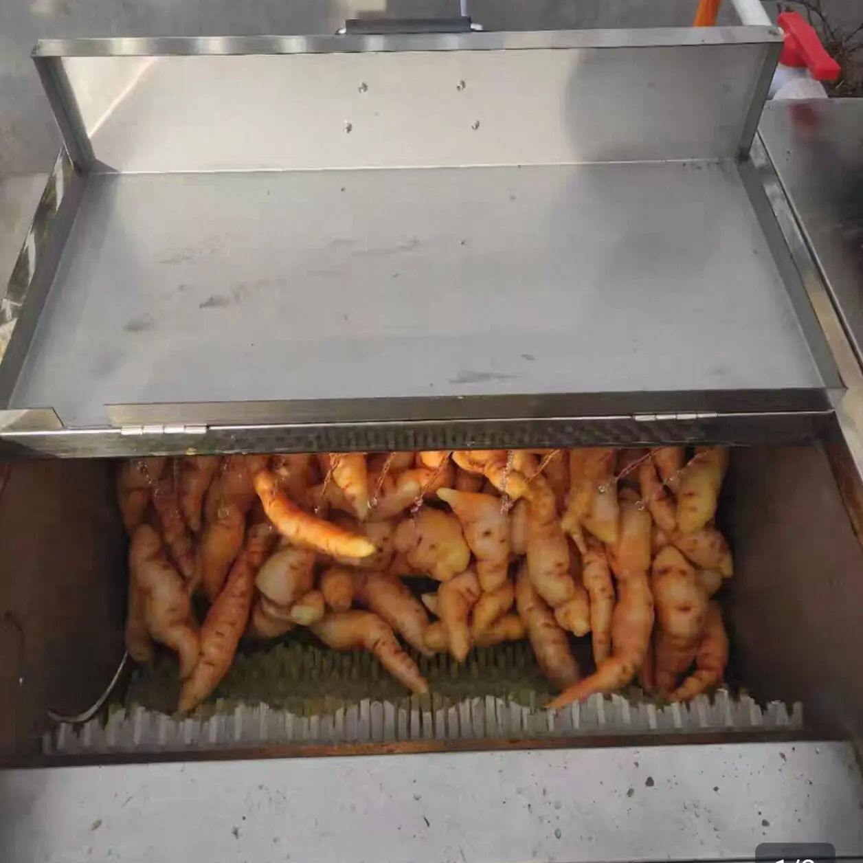 Касава Картофе Таро Машина для мытья и очистки моркови Рулонная щетка Овощечистка и мойка Машина для чистки нержавеющей стали
Касава Картофе Таро Машина для мытья и очистки моркови Рулонная щетка Овощечистка и мойка Машина для чистки нержавеющей стали