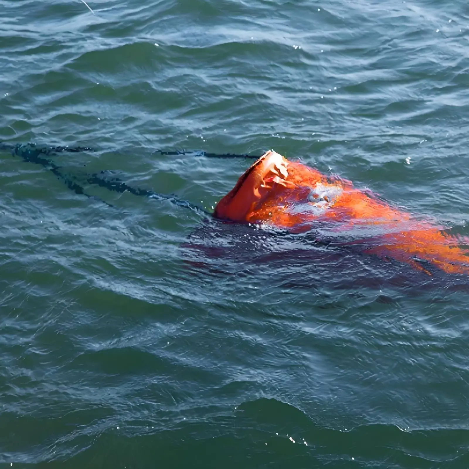 Sea Anchor Kit Portable Design Glide Sock Drogue Trolling Bag with Buoy Ripstop PVC Material Boating Equipment for Fishing
Sea Anchor Kit Portable Design Glide Sock Drogue Trolling Bag with Buoy Ripstop PVC Material Boating Equipment for Fishing