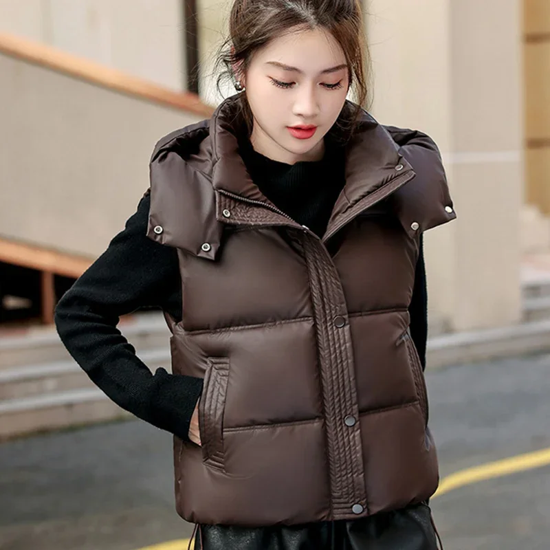 Brown Hooded Sleeveless Parkas Women Autumn Winter Stand Collar Puff Warm Vest Woman Fashion Pocket Zipper Up Cotton Waistcoat
Brown Hooded Sleeveless Parkas Women Autumn Winter Stand Collar Puff Warm Vest Woman Fashion Pocket Zipper Up Cotton Waistcoat