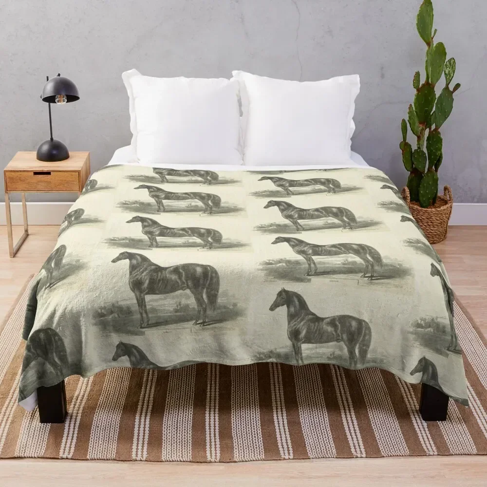 Vintage Morgan Horse Etching Throw Blanket Color Fast Cozy Throw Blanket
Vintage Morgan Horse Etching Throw Blanket Color Fast Cozy Throw Blanket