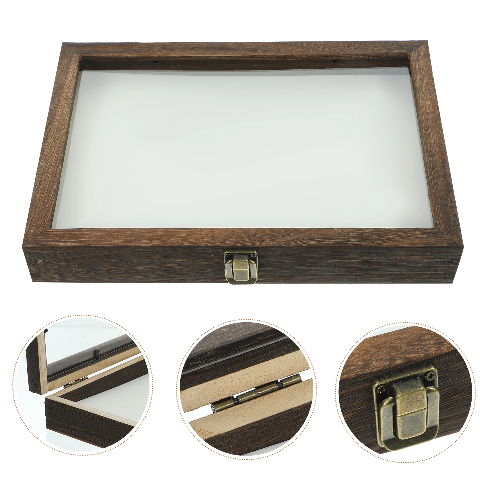 1 Set Wooden Specimen Display Box Transparent Lid Vintage Shadow Case Insects Plants Storage Frame Container Holder Showcase
1 Set Wooden Specimen Display Box Transparent Lid Vintage Shadow Case Insects Plants Storage Frame Container Holder Showcase